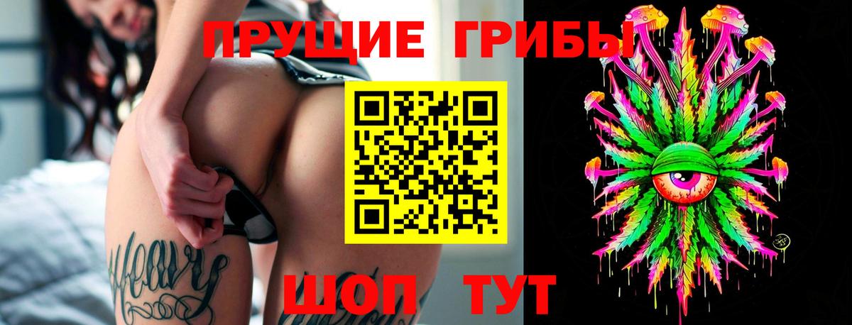 Муравленко  Псилоцибиновые грибы Cubensis  закладка  Вход с VPN 